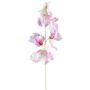 Künstliche Blume Lathyrus latifolius TERRAT, altrosa-grün, 50cm