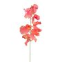 Künstliche Blume Lathyrus latifolius TERRAT, lachs, 50cm