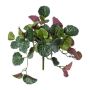 Künstliche Pflanze Zwergpfeffer FROHEL, Steckstab, grün-lila, 22,5cm