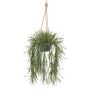 Deko Rhipsalis Blumenampel VEXORY, Dekotopf, hängend, grün, 100cm