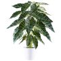 Kunst Alocasia Sanderiana PIVLA, Melamin-Übertopf, grün, 70cm
