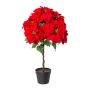 Samt Weihnachtsstern DRENMA, Dekotopf, dunkelrot, 75cm