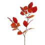 Deko Zweig Buche LOPERDY, rot-orange, 70cm