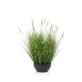 Lampenputzergras künstlich WALERIAN in Dekoschale, mit Rispen, grün, 60cm