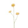 Deko Zweig Scabiosa DIHALLY, gelb-pfirsich, 80cm