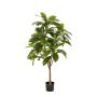 Kunstbaum Frangipani MORSHA, Kunststamm, grün, 145cm