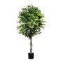 Kunstbaum Ficus Benjamini ARNOMO, Naturstämme, 180cm