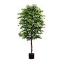 Kunstbaum Ficus Benjamini ARNOMO, Naturstämme, 210cm