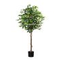 Dekobaum Ficus Benjamini ONIN, Naturstämme, 180cm