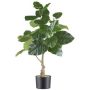Künstlicher Baum Ficus petiolaris FLOYD, Kunststamm, 85cm