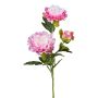 Kunstblumen Zweig Pfingstrose SLORMEK, rosa-weiß, 65cm