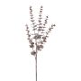 Dekozweig Eukalyptus TRELVO, burgunderrot, 75cm