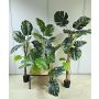 Kunstpflanze Philodendron monstera deliciosa CUNKYN im Dekotopf, 60cm