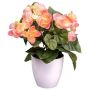 Künstliche Blume Begonie SYLINA, weißer Dekotopf, rosa, 25cm