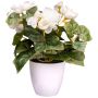 Künstliche Blume Begonie SYLINA, weißer Dekotopf, creme, 25cm