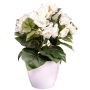 Künstliche Blume Begonie SYLINA, weißer Dekotopf, creme, 30cm