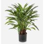 Kunstpflanze Pflanze Calathea Rufibarba ADELFRIEDE, grün, 90cm