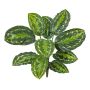 Kunstpflanze Calathea Medaillon FLEURETTA, Steckstab, grün-gelb, 50cm