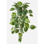 Kunstpflanzen Hänger Efeutute DRAGAN auf Steckstab, schwer brennbar, grün-weiß, 70cm