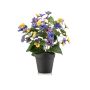 Stiefmütterchen künstlich NORHA im Dekotopf, gelb-blau-lila, 30cm
