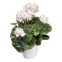 Kunstblume Geranie KLUMOR im Melamin-Übertopf, weiß-rosa, 35cm