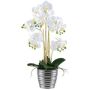 Kunst Phalaenopsis Orchidee VORDLIN, Keramiktopf silber, Wurzeln, weiß, 60cm