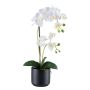 Textil Phalaenopsis Orchidee MAYAK, Keramiktopf, Wurzeln, weiß, 50cm