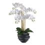 Kunst Phalaenopsis Orchidee STONFER, Dekotopf schwarz, Wurzeln, weiß, 70cm