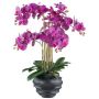 Kunst Phalaenopsis Orchidee STONFER, Dekotopf schwarz, Wurzeln, lila, 70cm
