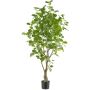 Deko Baum Eukalyptus MERNAS, Kunststamm, grün, 130cm