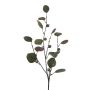 Künstlicher Zweig Eukalyptus TRAVON mit Früchten, grün, 75cm