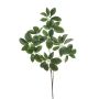 Deko Zweig Schefflera PARVANEH, grün, 110cm