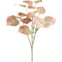 Dekozweig Schwarzpappel SOLVEN, rot-grün, 60cm