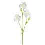Deko Zweig Iris KLAVO, weiß, 80cm