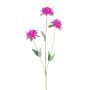Deko Zweig Indianernessel VINTE, cerise, 75cm