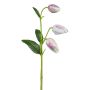 Künstliche Blume Schachbrettblume FRENT, rosa-weiß, 55cm
