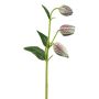 Künstliche Blume Schachbrettblume FRENT, grün-rot, 55cm