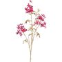 Dekozweig Flammenbaum KONEE mit Blüten, rot-gold, 80cm