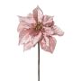 Samt Weihnachtsstern FROLT, rosa-gold, 50cm