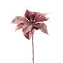 Samt Poinsettia SHEBA, altlila, 55cm, Ø21cm