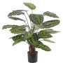 Kunst Calathea Medaillon KUMARA, grün, 75cm