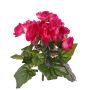 Künstliche Begonie BIRMA auf Steckstab, pink, 20cm, Ø3-5cm
