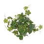 Künstlicher Jungfernreben Busch AMYCUS auf Steckstab, Früchte, grün, 35cm