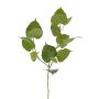 Künstlicher Ficus religiosa Zweig IRELIA, Früchte, grün, 80cm