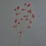 Deko Zweig Edeldistel LOUKAS, rot, 70cm, Ø1-1,5cm