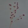 Deko Zweig Edeldistel LOUKAS, burgunderrot, 70cm, Ø1-1,5cm