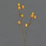 Deko Zweig Edeldistel LOUKAS, gelb-orange, 45cm, Ø1-1,5cm