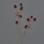 Deko Zweig Edeldistel LOUKAS, burgunderrot, 45cm, Ø1-1,5cm