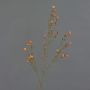 Künstliche Wachsblume NIANG, orange-rot, 80cm, Ø1,5-2,5cm