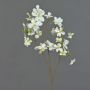 Kunstblume Hartriegel NARIUS mit Blüten, weiß-grün, 80cm, Ø4-7cm